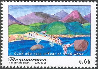 Trout, by Julya Shamsudinova