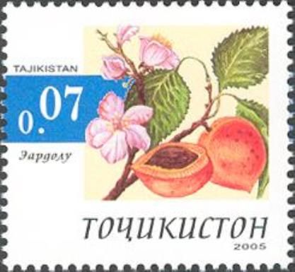 Apricot