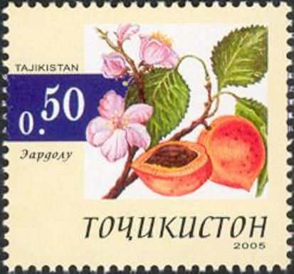 Apricot