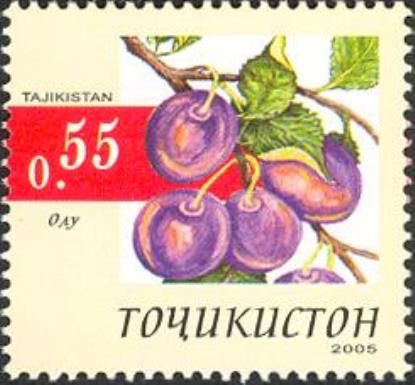 Plum