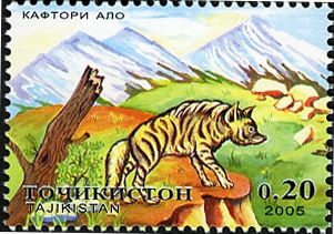 Striped Hyaena (Hyaena hyaena)