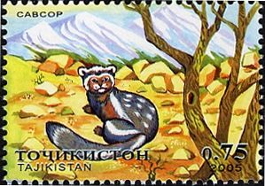 Predatory Animals of Middle Asia