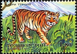 Tiger (Panthera tigris)