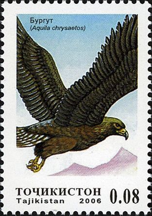 Fauna of Asia (2006)
