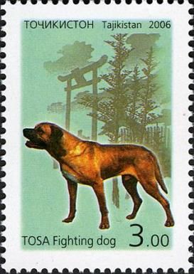 Tosa Inu (Canis lupus familiaris)