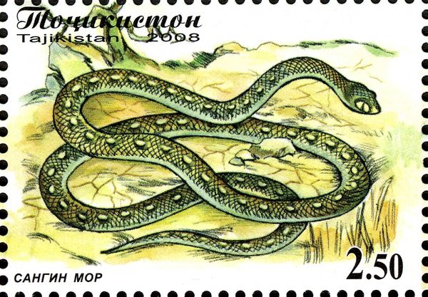 Stone Snake