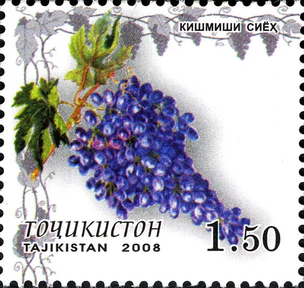 Djaus Grapes