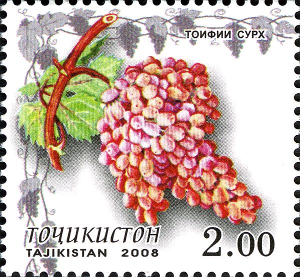 Red Taifi