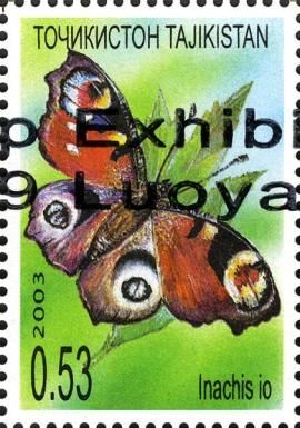 European peacock (Inachis io) - Overprint