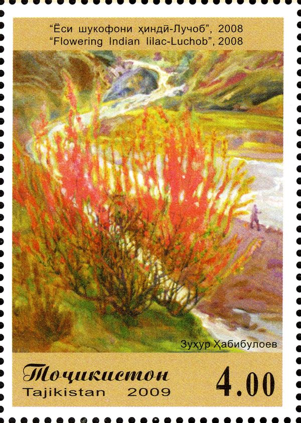 Flowering Indian Lilac, Luchob, Zuhur Habibuloev (2008)