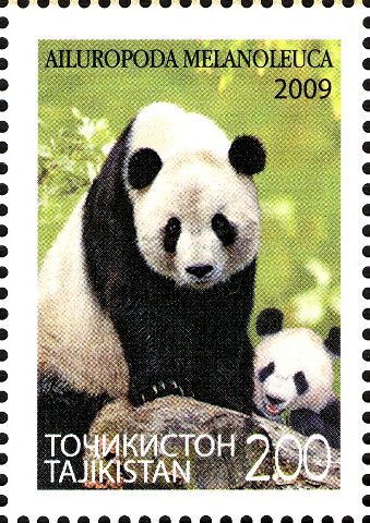 Giant Panda (Ailuropoda melanoleuca)