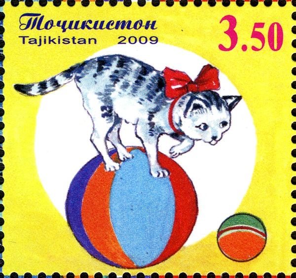 Cat on Ball