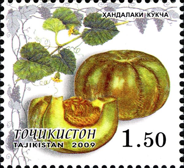 Green Melon