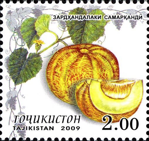 Melon Varieties