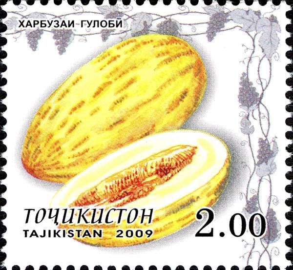 Long Yellow Melon