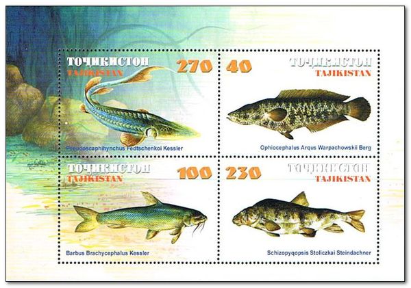 Fishes
