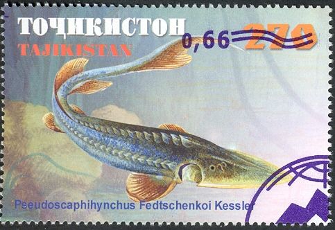 Fishes - Surcharge & Overprint