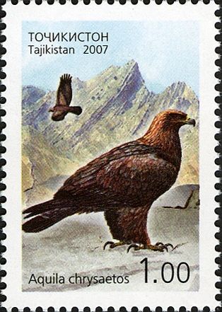 Birds (2007)