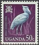 Shoebill (Balaeniceps rex)