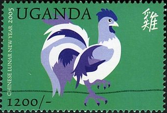 Purple rooster