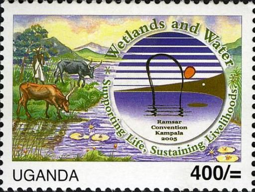 Wetlands & Water
