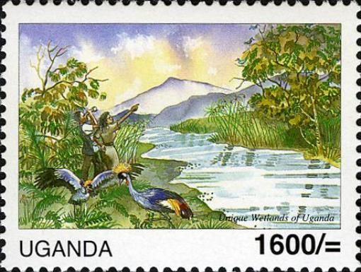 Wetlands & Water