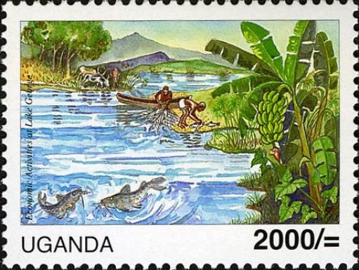 Wetlands & Water