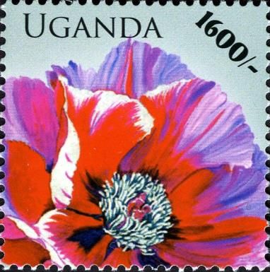Flora (Flowers - General)