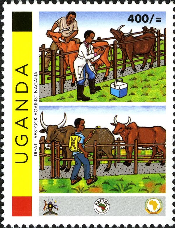 Medicine (Health Campaigns)