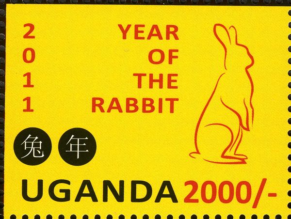 Year of the Rabbit