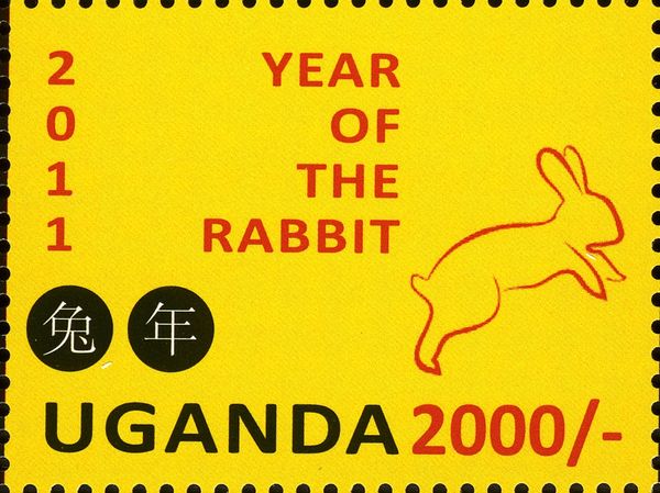 Year of the Rabbit