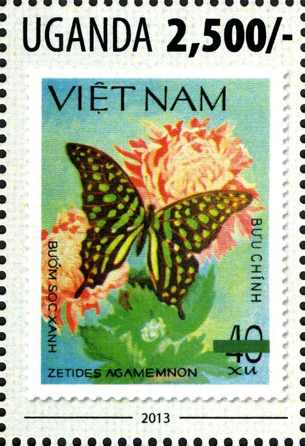 Tailed Jay (Zetides agamemnon)