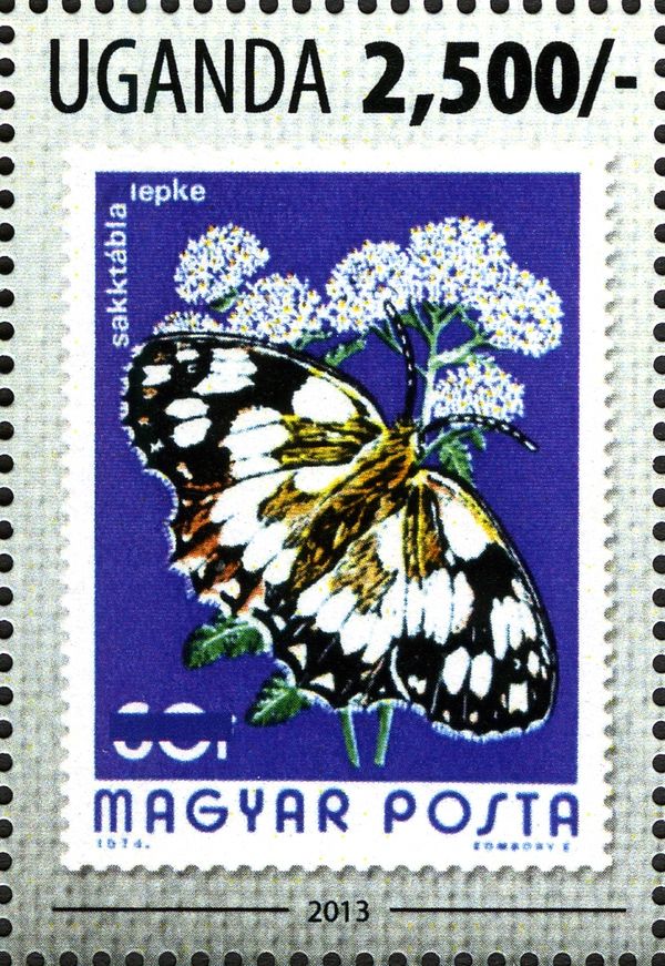 Marbled White (Melanargia galathea)