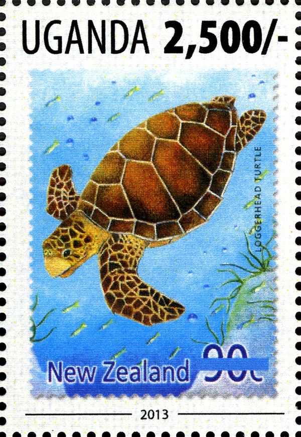 Loggerhead Turtle (Caretta caretta)
