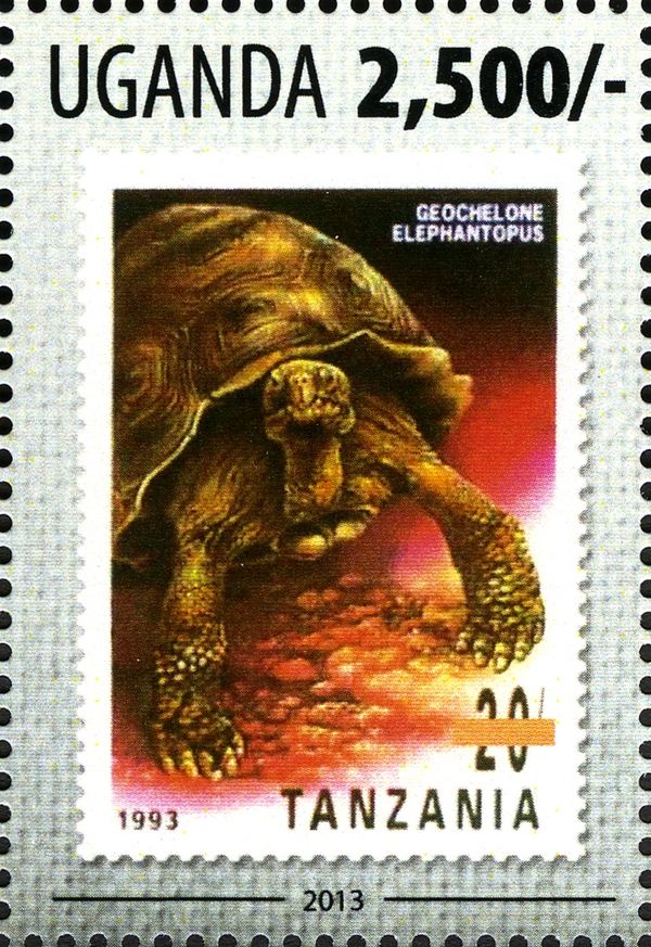 Galapagos Tortoise (Geochelone elephantopus)