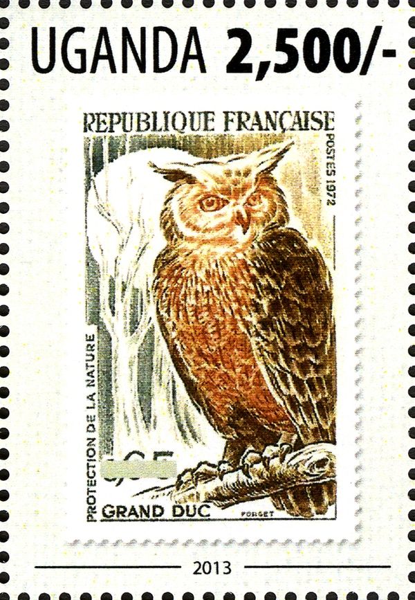 Eurasian Eagle-owl (Bubo bubo)
