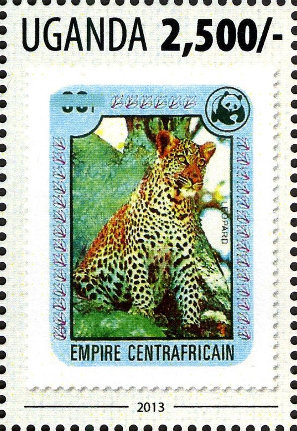 Leopard (Panthera pardus)