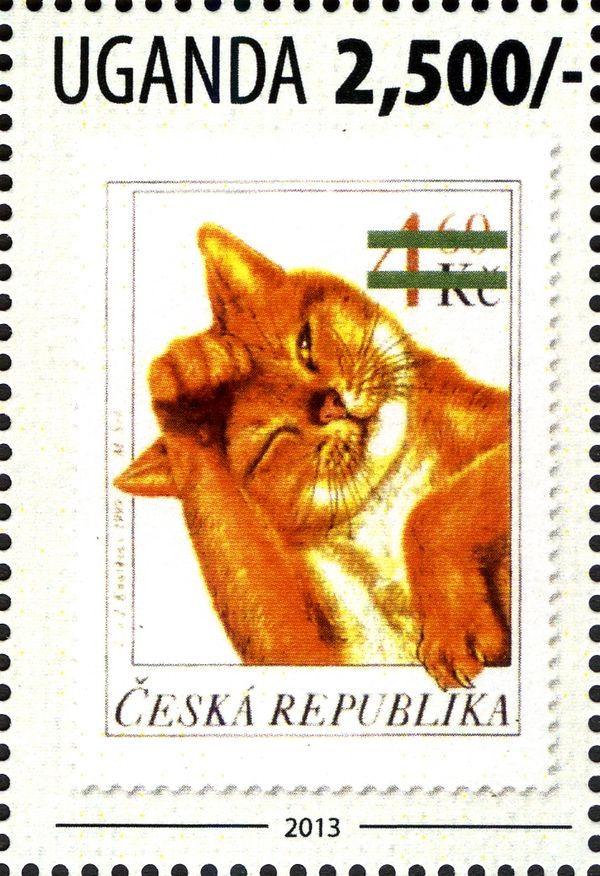 Domestic Cat (Felis silvestris catus)