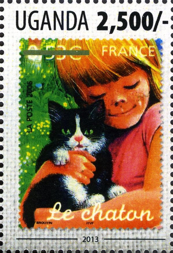 Domestic Cat (Felis silvestris catus), Girl