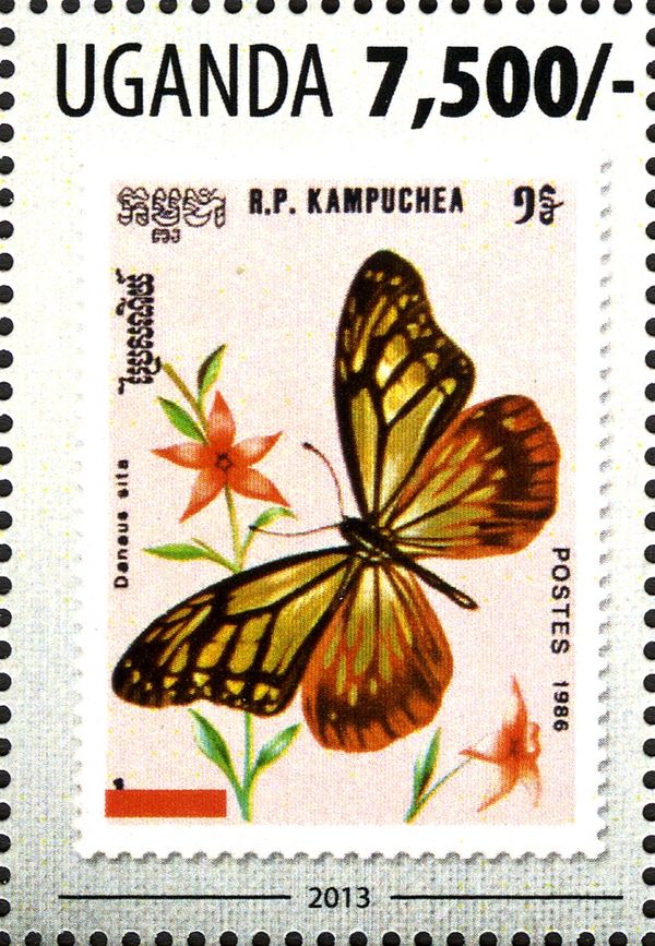Chestnut Tiger (Danaus sita)