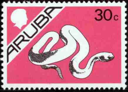 Snake