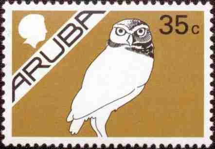 Burrowing Owl (Athene cunicularia)