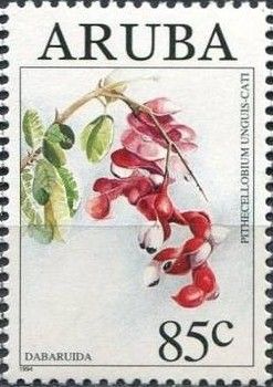 Dabruida (Pithecellobium unguis-cati)
