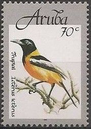 Venezuelan Troupial (Icterus icterus)