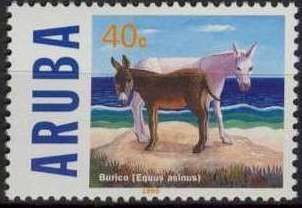 African Wild Ass (Equus asinus)