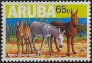 African Wild Ass (Equus asinus)