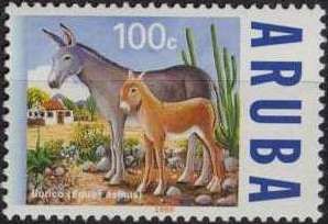 African Wild Ass (Equus asinus)