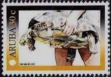 Tortoise