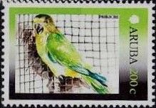 Brown-throated Parakeet (Eupsittula pertinax)