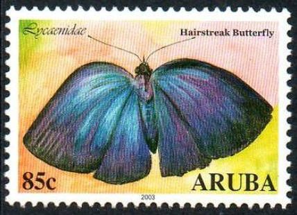 Hairstreak (Lycaena sp.)